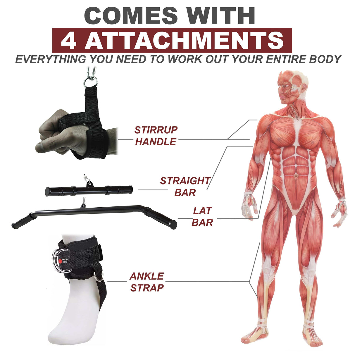 Senshi Japan V3 Cable Machine With Lat Bar Straight Bar