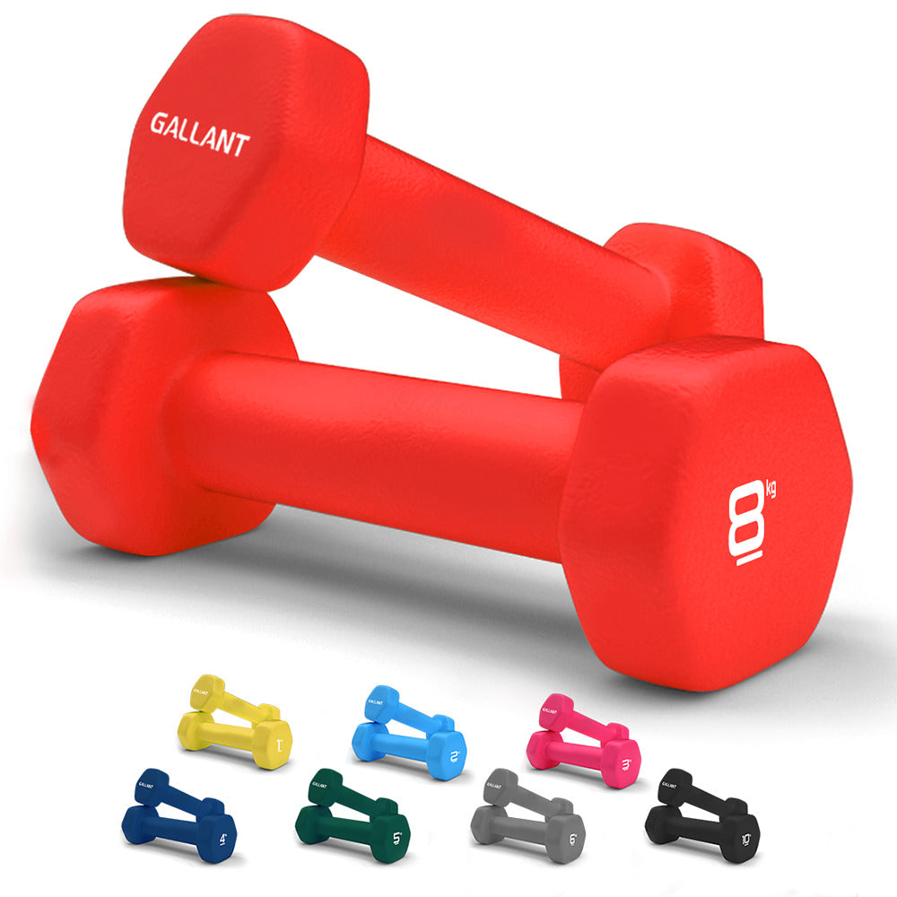 Neoprene Dumbbells Weights Pair Exercise Iron Hand Set Home Gym Fitnes Senshi Japan