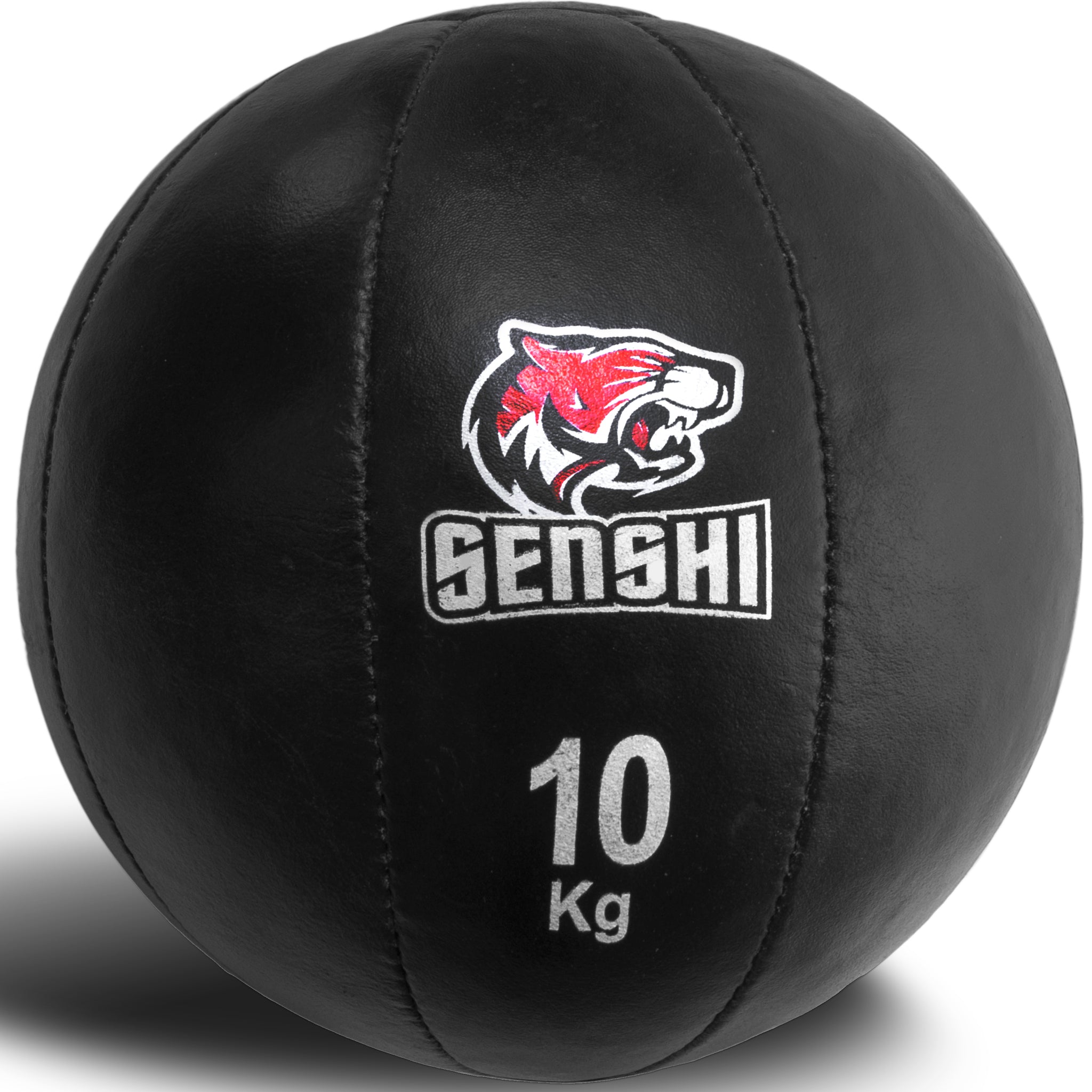 10 kg Medizinball, mit Leder beschwerter Wandball für Rumpf, Sport, Training